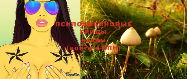 дурь Алексеевка