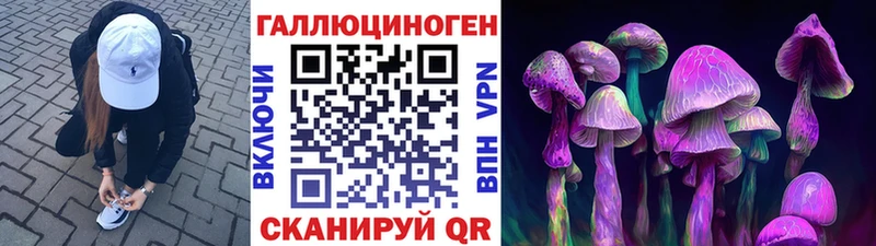 Галлюциногенные грибы мухоморы Пугачёв