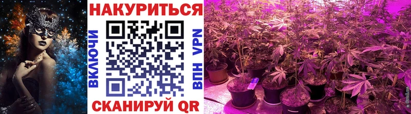 Шишки марихуана Ganja  продажа наркотиков  Пугачёв 